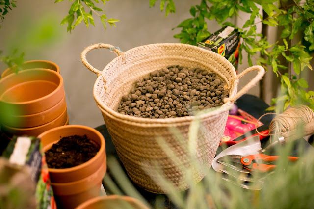 Cómo montar un huerto en casa