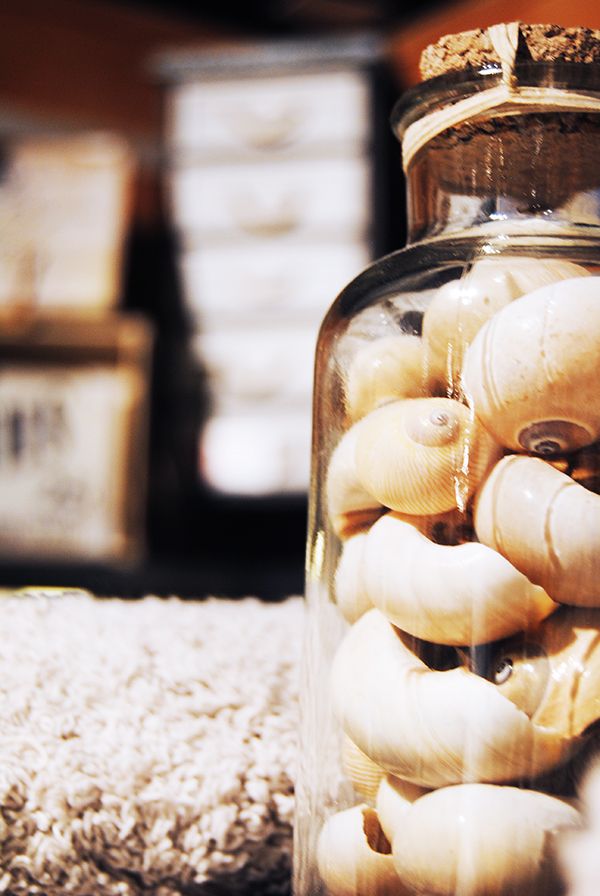 Decorar con conchas