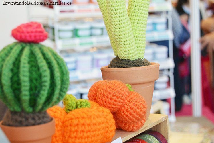cactus bichus