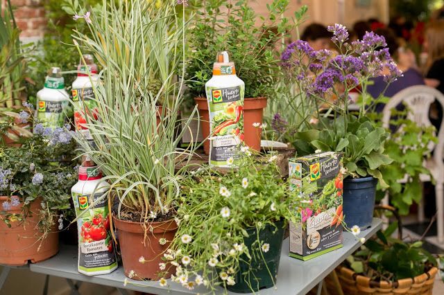 Planta tu huerto urbano