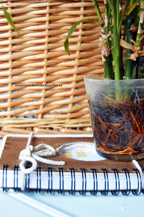 tutorial-hacer-maceteros