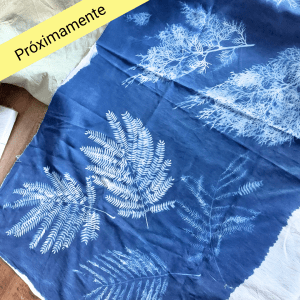 KIT chulísimo Cianotipia en casa